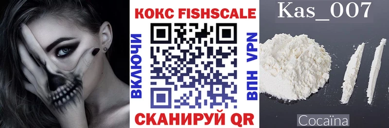 Кокаин FishScale  купить наркоту  Краснослободск 