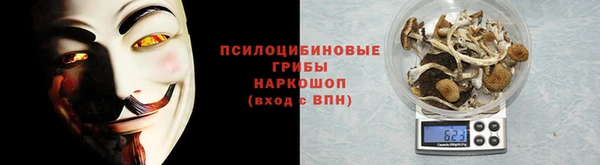 эйфоретик Белокуриха
