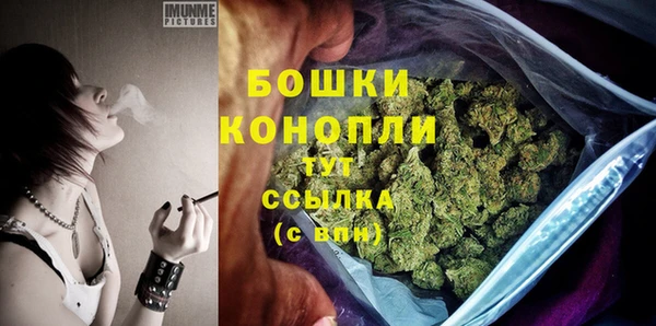 СК Богородск