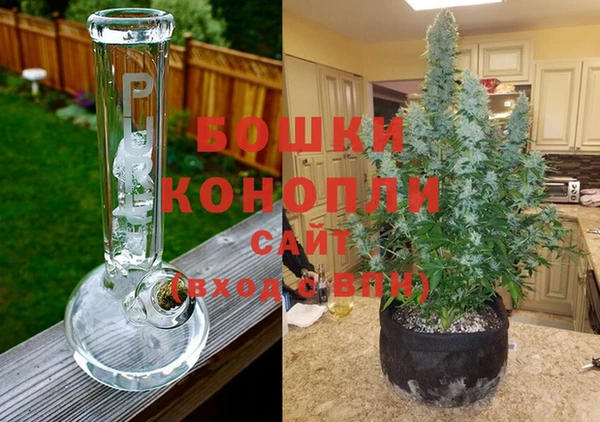 амф Богданович