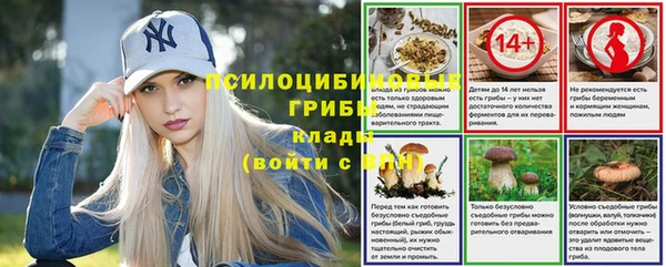 амф Богданович