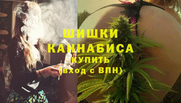 СК Богородск
