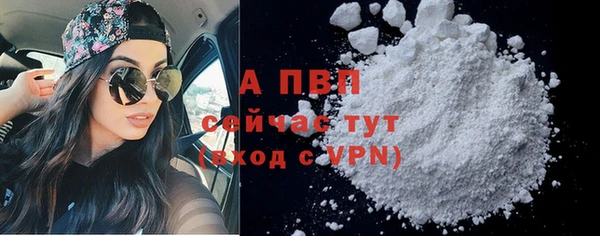 эйфоретик Белокуриха