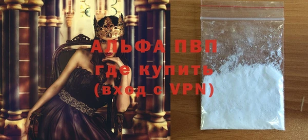 индика Белоозёрский