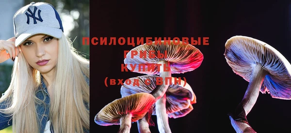 индика Белоозёрский