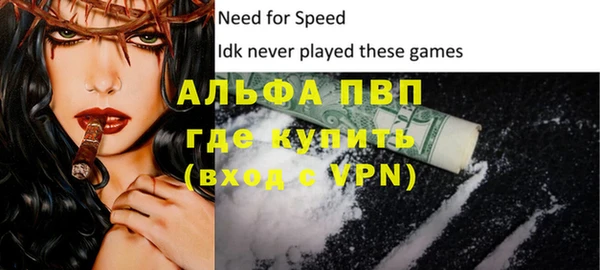 индика Белоозёрский