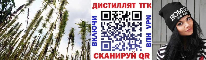 ТГК THC oil  даркнет сайт  Краснослободск 