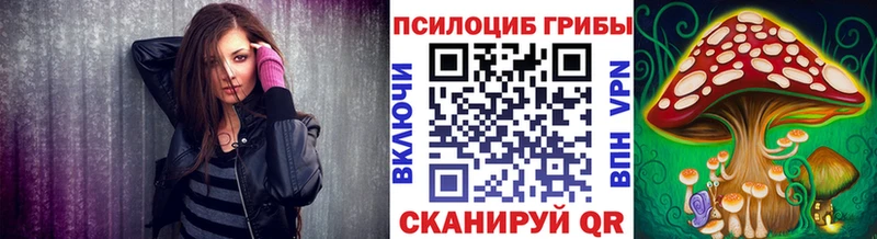 ОМГ ОМГ зеркало  Краснослободск  Псилоцибиновые грибы прущие грибы 